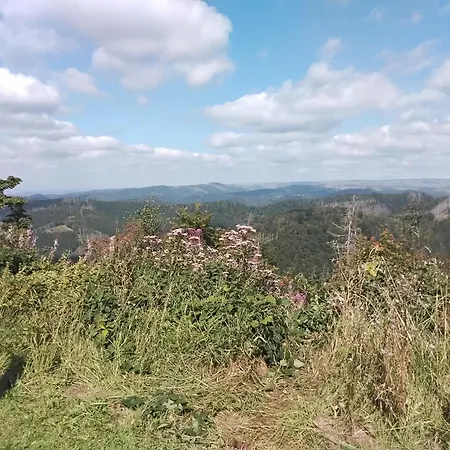 Hochwald Ensuite Casa de hóspedes