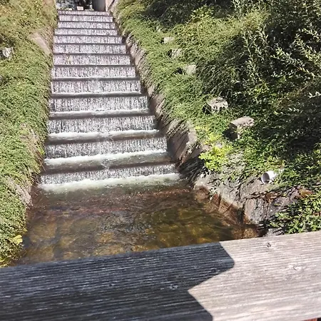 Hochwald Ensuite Bad Sachsa