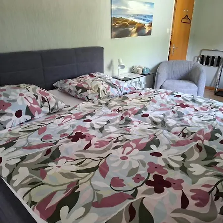 Hochwald Ensuite 3* 바트사흐사