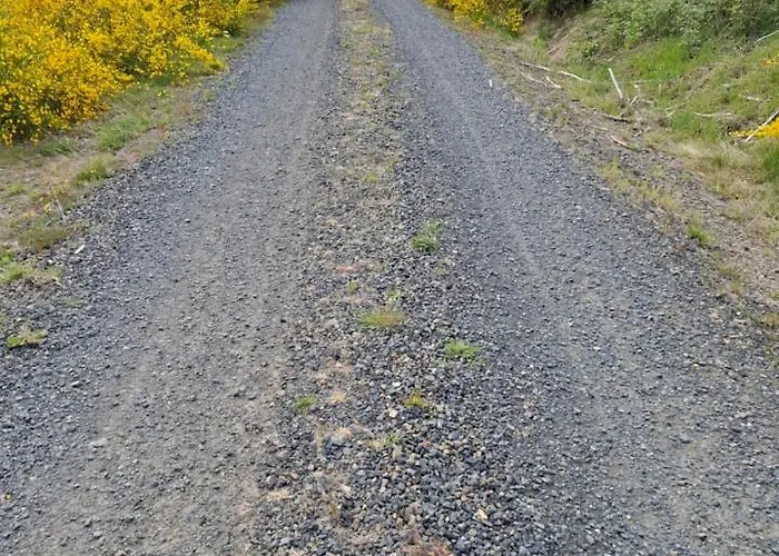 Hochwald Ensuite Πανσιόν Bad Sachsa
